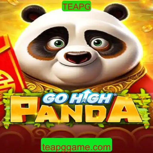 GoHighPanda: Tudo o que Você Precisa Saber